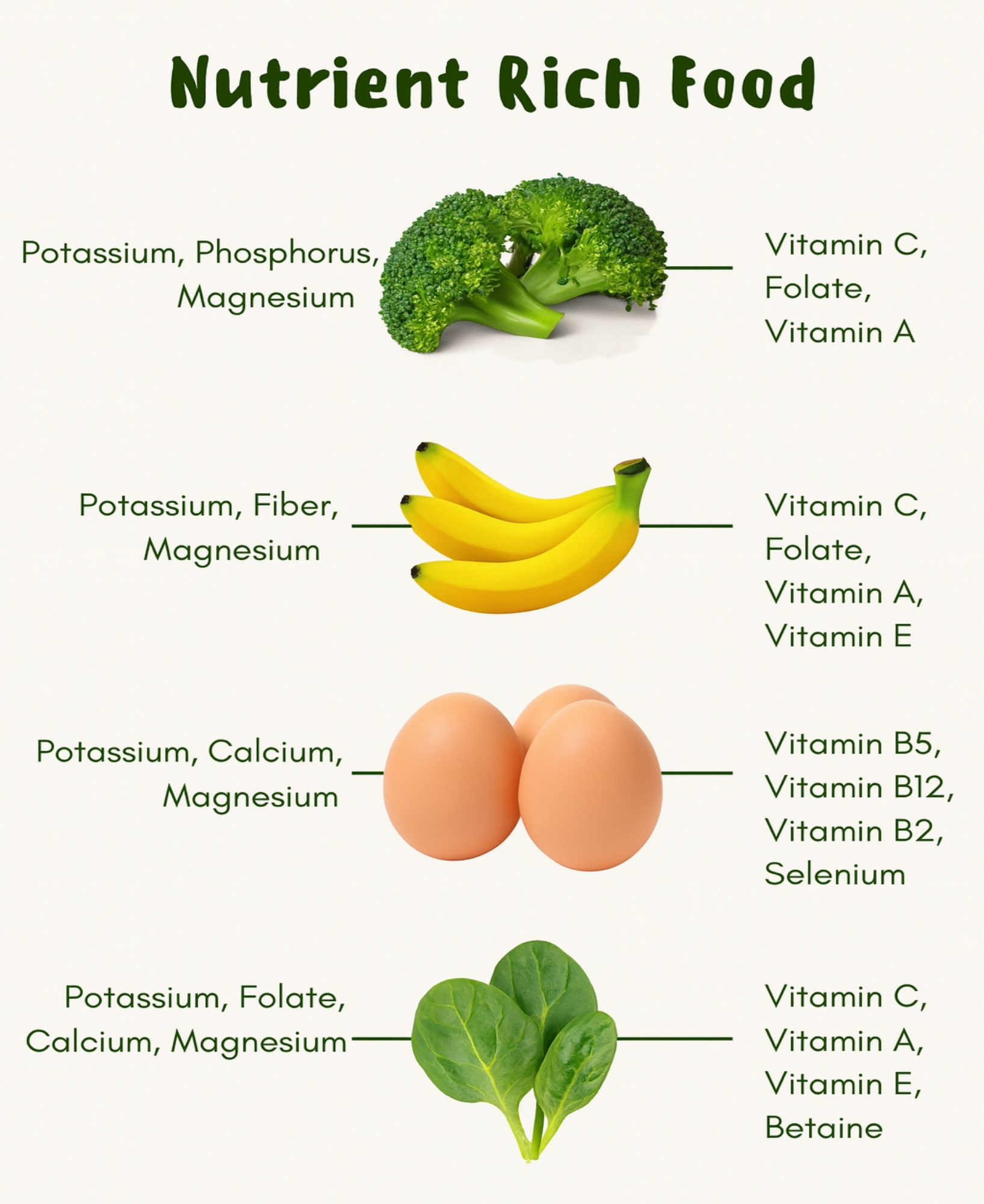 Nutrient Rich Food!